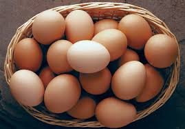 Eggs-5$/dozen
